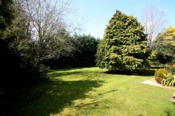 Images for WATLINGTON