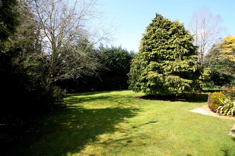 Images for WATLINGTON
