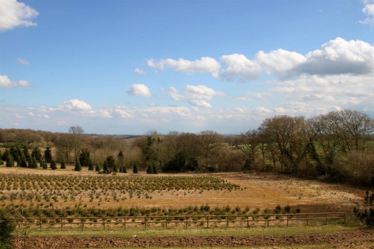 Images for WATLINGTON
