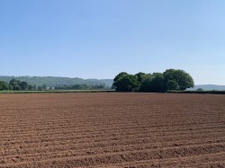 Images for Shoreditch, Taunton, Somerset