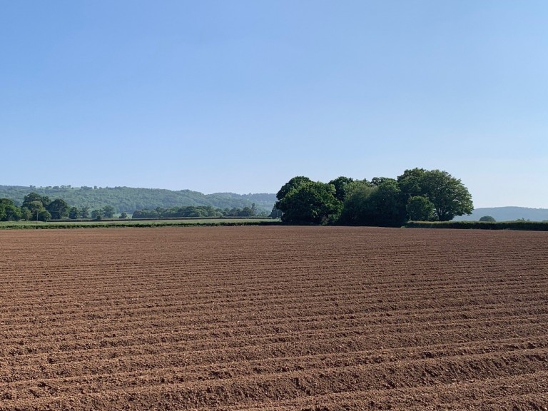 Images for Shoreditch, Taunton, Somerset