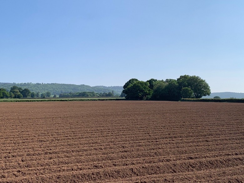 Click the photo for more details of Shoreditch, Taunton, Somerset
