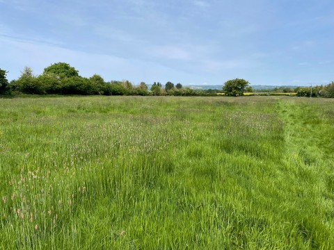 Click the photo for more details of Shoreditch, Taunton, Somerset