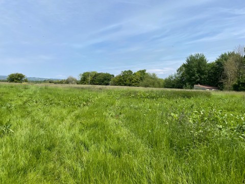 Click the photo for more details of Shoreditch, Taunton, Somerset