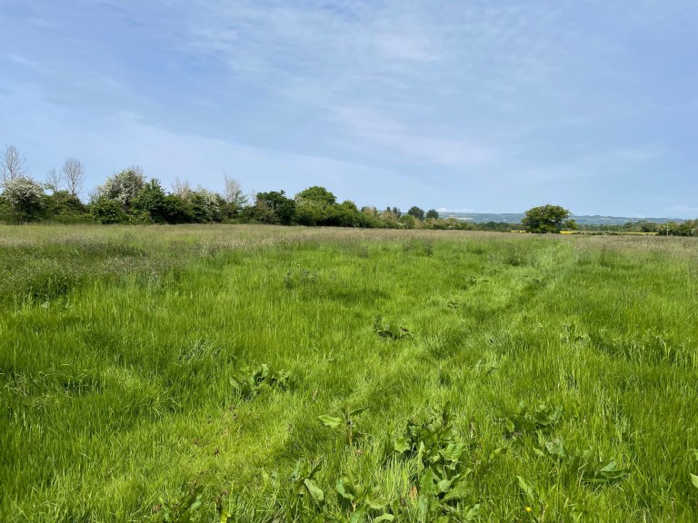 Images for Shoreditch, Taunton, Somerset