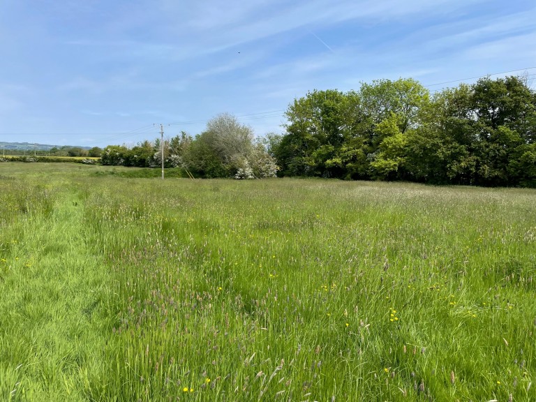 Images for Shoreditch, Taunton, Somerset