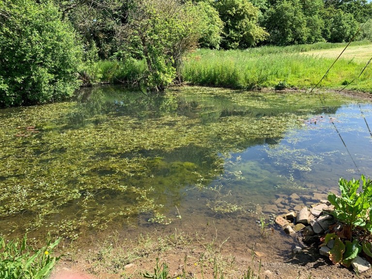 Images for Shoreditch, Taunton, Somerset