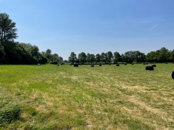 Images for Sharpham, Glastonbury, Somerset