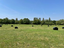 Images for Sharpham, Glastonbury, Somerset