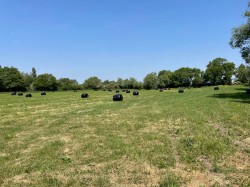 Images for Sharpham, Glastonbury, Somerset