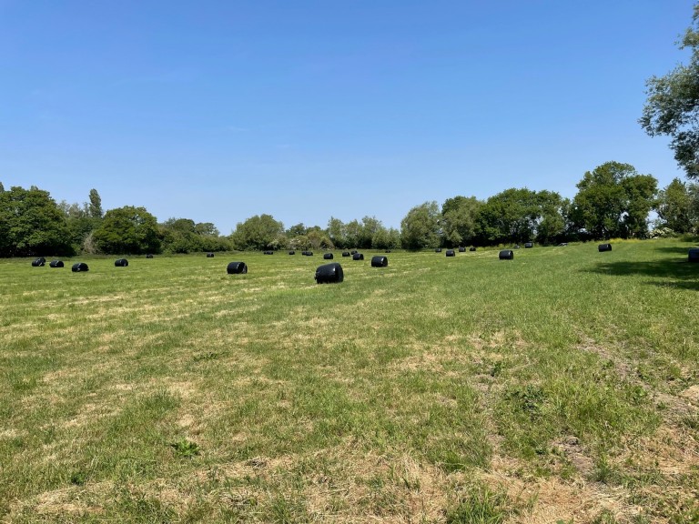 Images for Sharpham, Glastonbury, Somerset