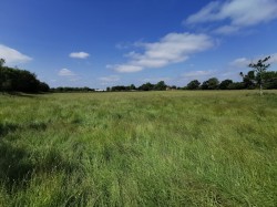 Images for Lowerside, Glastonbury, Somerset