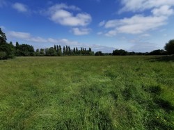 Images for Lowerside, Glastonbury, Somerset