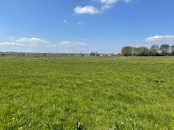 Images for Edington, Somerset