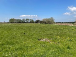 Images for Edington, Somerset