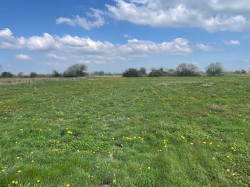 Images for Edington, Somerset