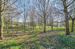 Images for Horningsham, Wiltshire