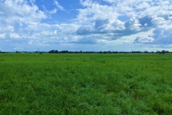 Images for Burtle, Somerset