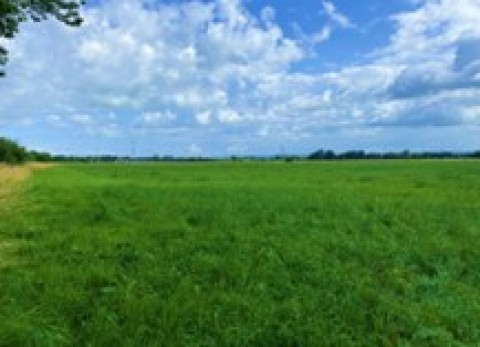 Click the photo for more details of Burtle, Somerset