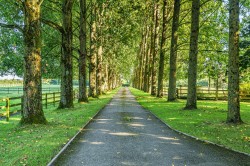 Images for Hisomley, Dilton Marsh, Wiltshire