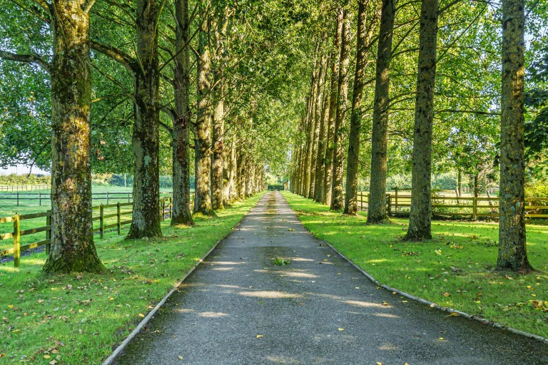 Images for Hisomley, Dilton Marsh, Wiltshire