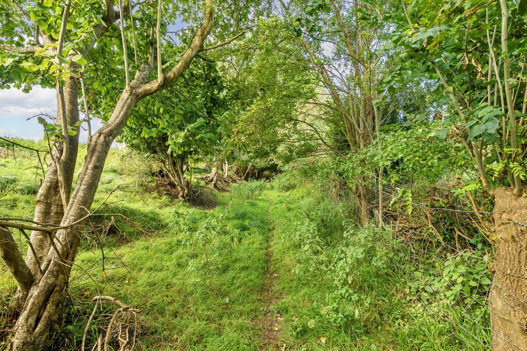 Images for Yarley, Wells, Somerset