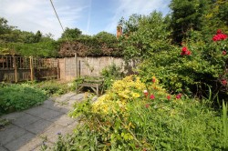 Images for WATLINGTON
