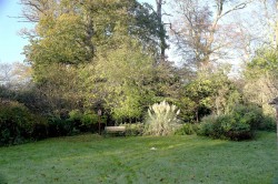 Images for WATLINGTON
