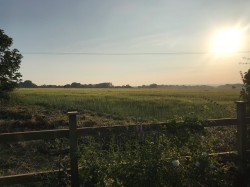 Images for Tellisford Lane, Norton St Philip, Somerset
