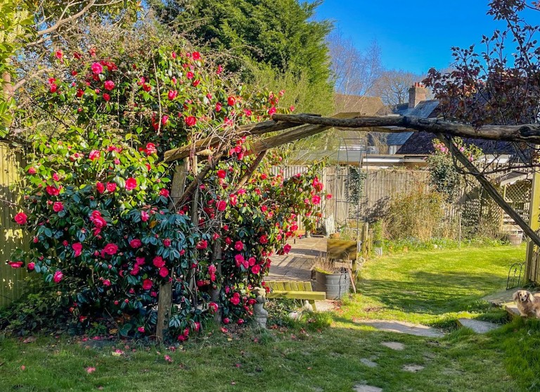 Images for The Green, Catsfield, East Sussex