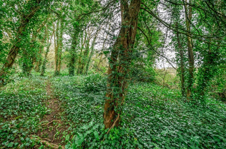 Images for Rashwood Lane, Mells, Somerset