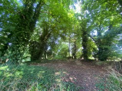 Images for Orchardleigh, Frome, Somerset