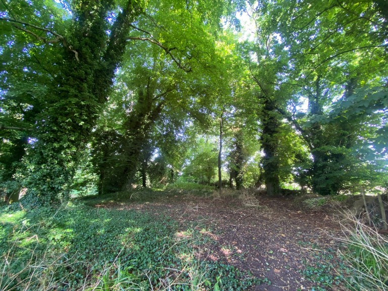 Images for Orchardleigh, Frome, Somerset