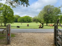 Images for Woodlands Road, Ashurst, Southampton, SO40