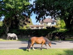 Images for Woodlands Road, Ashurst, Southampton, SO40