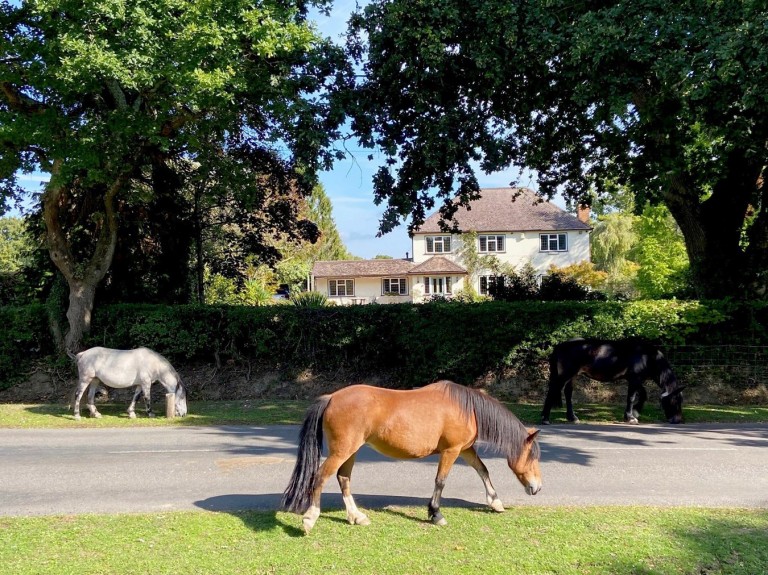 Images for Woodlands Road, Ashurst, Southampton, SO40