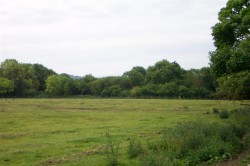 Images for WATLINGTON