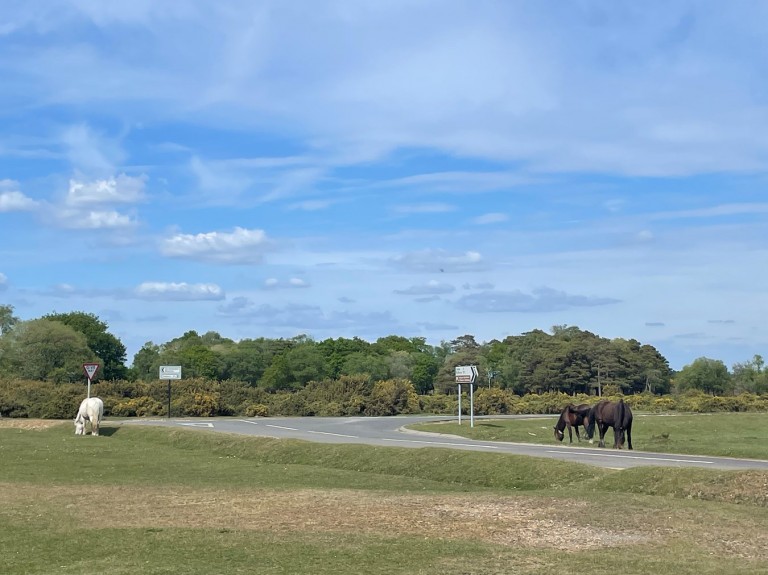 Images for Exbury Road, Beaulieu, Brockenhurst, SO42