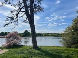 Images for Exbury Road, Beaulieu, Brockenhurst, SO42