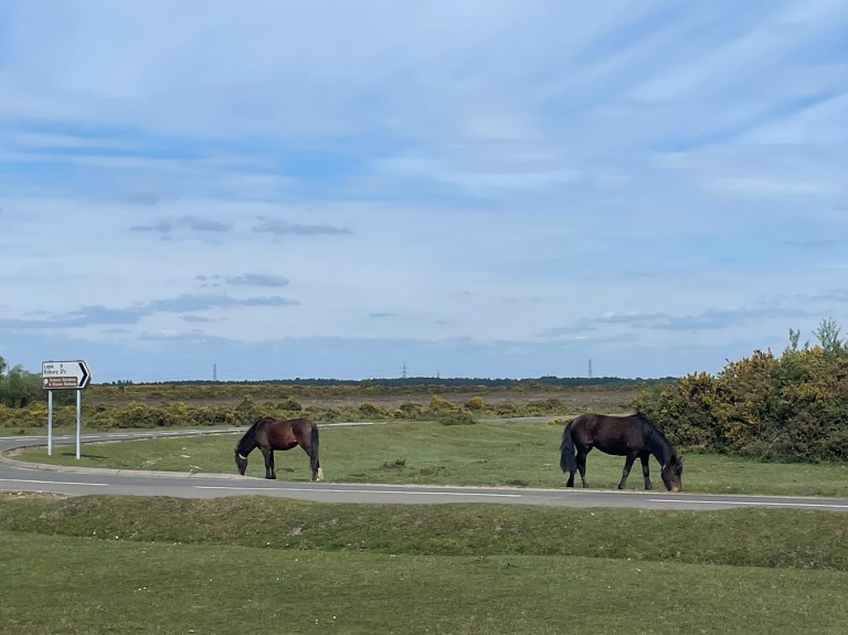 Images for Exbury Road, Beaulieu, Brockenhurst, SO42