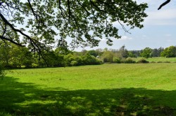 Images for Linwood, Ringwood, BH24