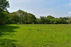 Images for Linwood, Ringwood, BH24