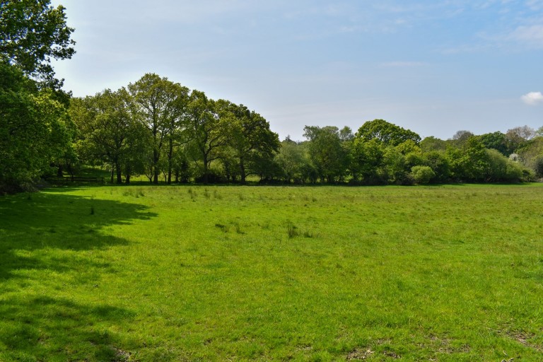 Images for Linwood, Ringwood, BH24