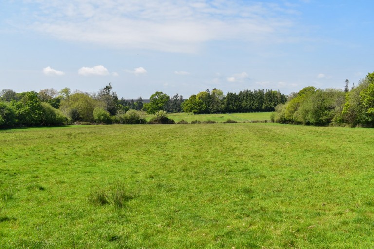 Images for Linwood, Ringwood, BH24