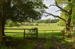 Images for Linwood, Ringwood, BH24