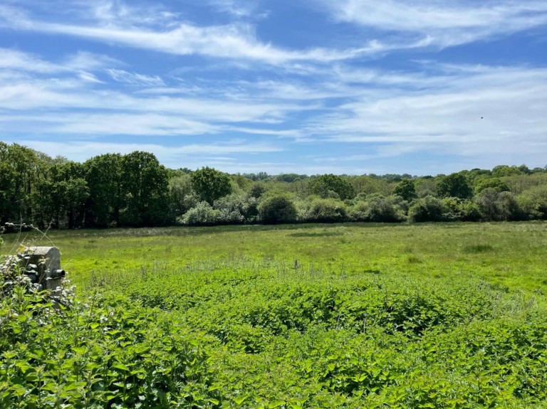 Images for Mead End Road, Sway, Lymington, SO41