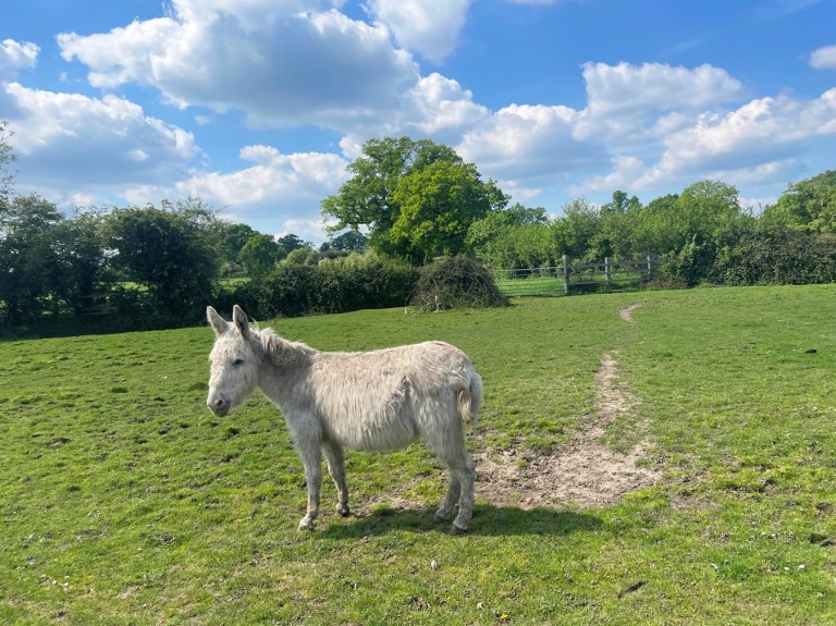 Images for Mead End Road, Sway, Lymington, SO41