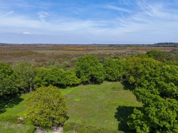 Images for Wooden House Lane, Pilley, Lymington, SO41