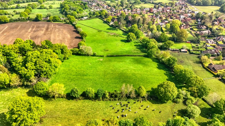 Images for South Lane, Nomansland