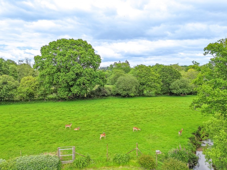 Images for Lyndhurst Road, Burley, Ringwood, BH24